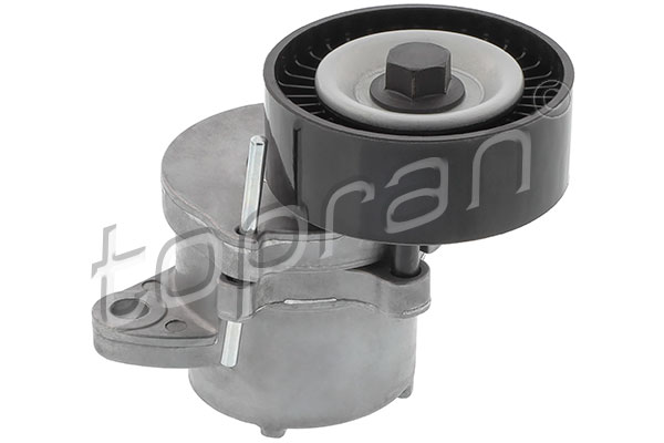 Belt Tensioner, V-ribbed belt (208 094)