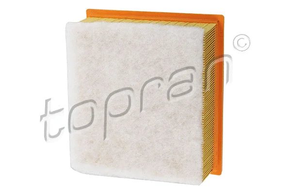 Air Filter (208 275)