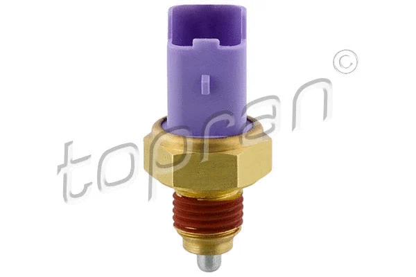 Switch, reverse light (721 075)