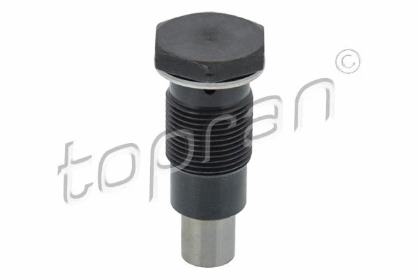 Tensioner, timing chain (115 010)