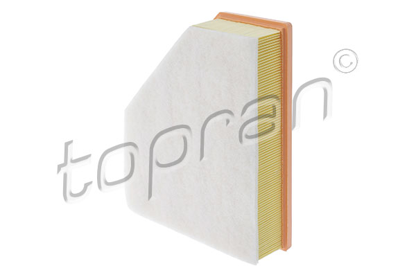 Air Filter (504 006)
