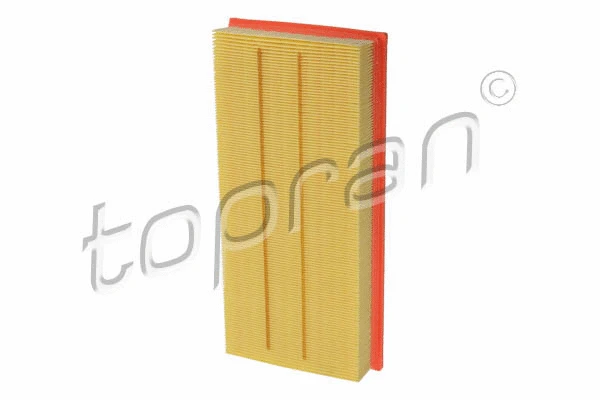 Air Filter (110 851)