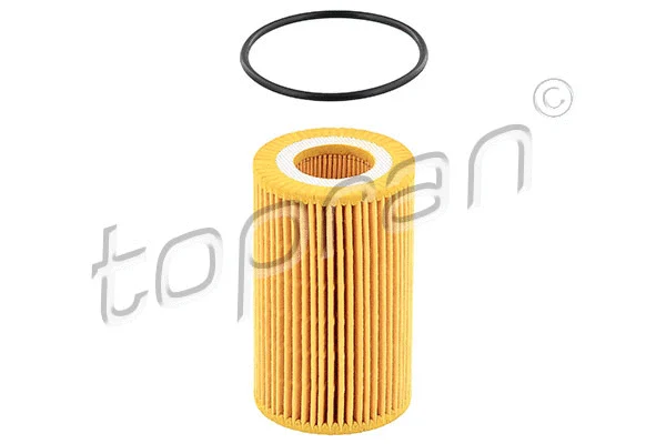 Oil Filter (116 137)