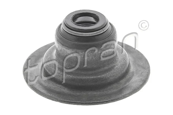 Seal Ring, valve stem (300 524)