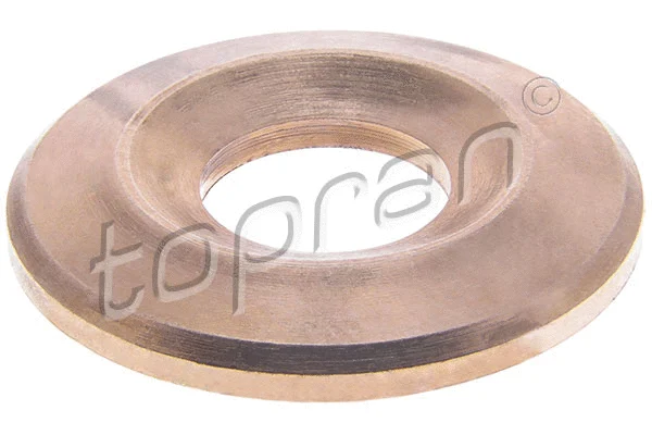 Heat Shield, injection system (301 657)