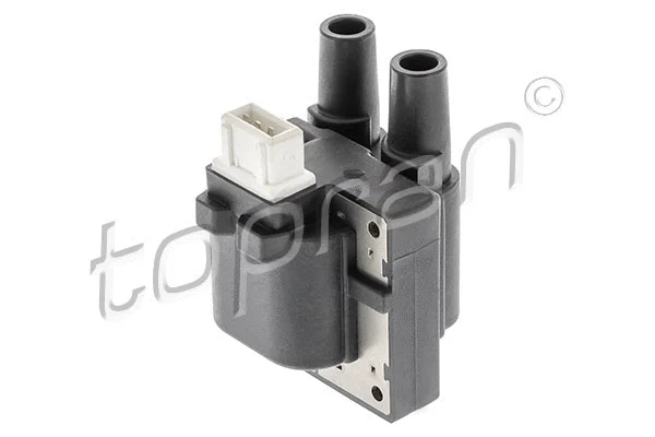 Ignition Coil (700 113)
