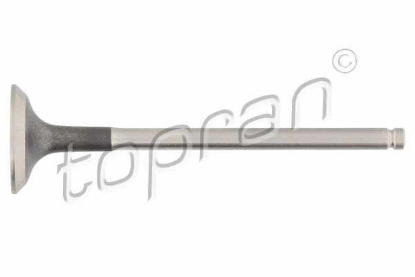 Exhaust Valve (700 652)