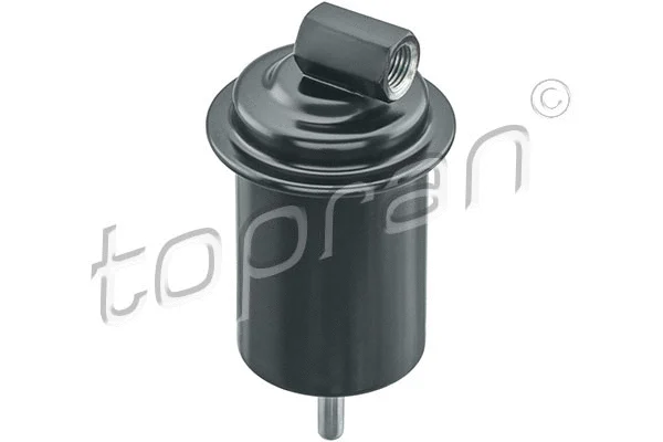 Fuel Filter (820 119)