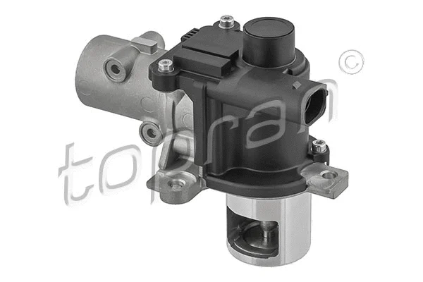 EGR Valve (639 168)