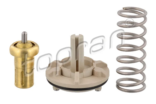 Thermostat, coolant (113 296)