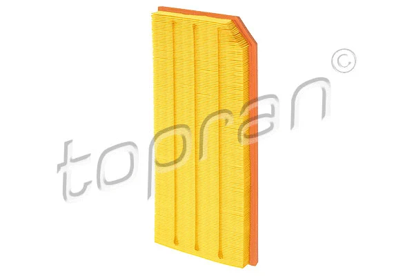 Air Filter (117 145)