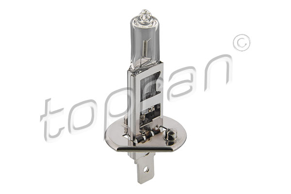 Bulb, headlight (109 100)