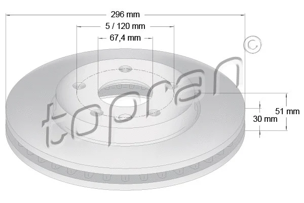 Brake Disc (207 809)