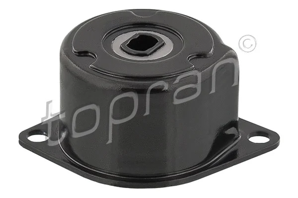 Belt Tensioner, V-ribbed belt (109 800)