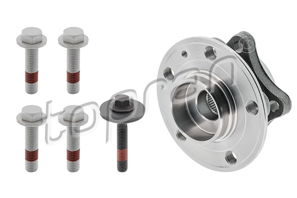 Wheel Bearing Kit (600 309)