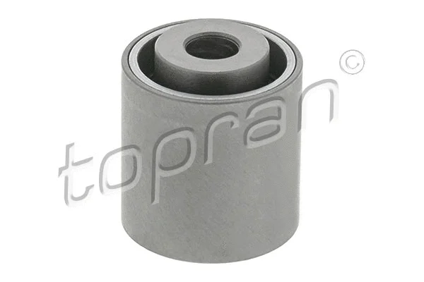 Deflection/Guide Pulley, timing belt (100 307)
