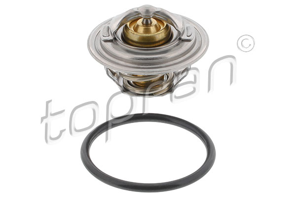 Thermostat, coolant (110 356)