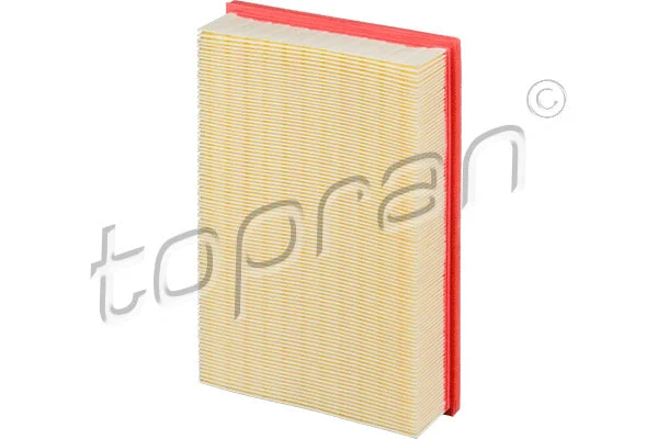 Air Filter (501 956)