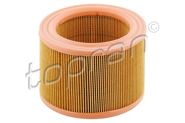 Air Filter (720 953)