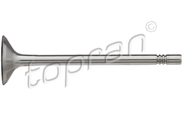 Intake Valve (112 933)