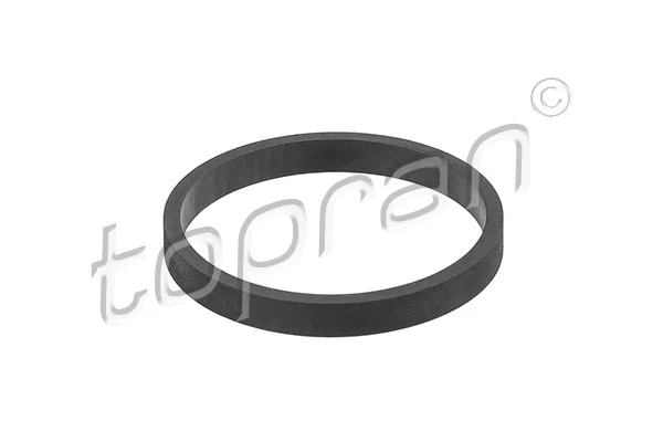 Gasket, intake manifold (111 052)