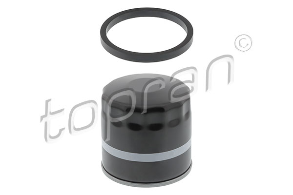 Oil Filter (201 305)