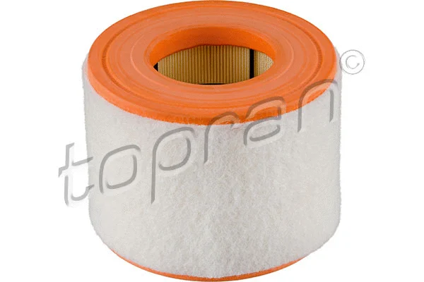Air Filter (113 904)