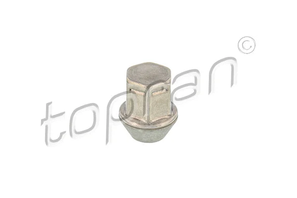 Wheel Nut (304 595)