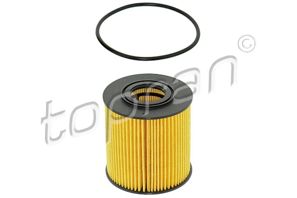 Oil Filter (600 052)