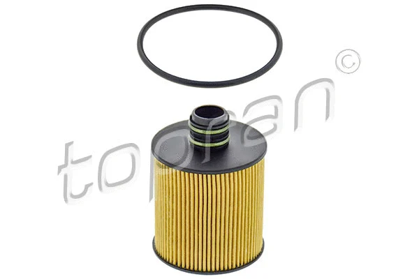 Oil Filter (208 331)