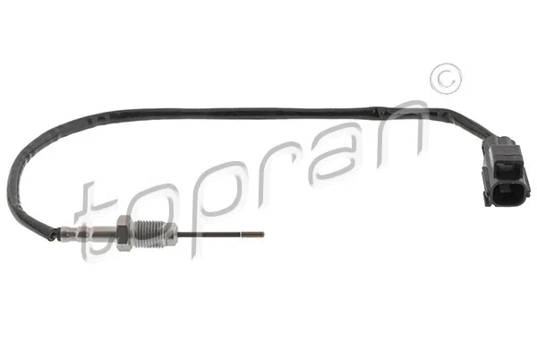 Sensor, exhaust gas temperature (638 581)