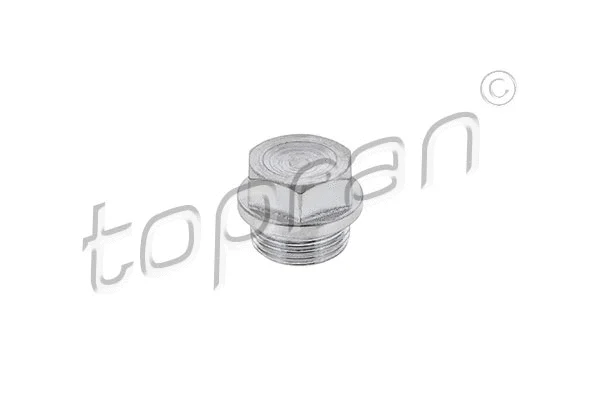 Screw Plug, oil sump (207 581)