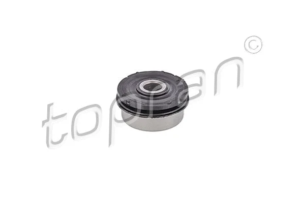 Bushing, axle beam (108 788)