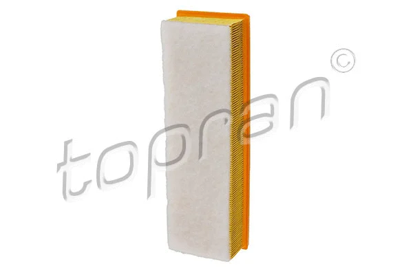 Air Filter (721 010)