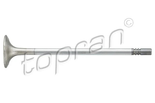 Exhaust Valve (117 107)