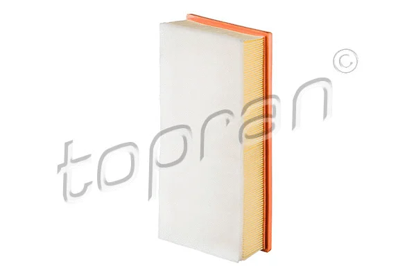 Air Filter (722 953)