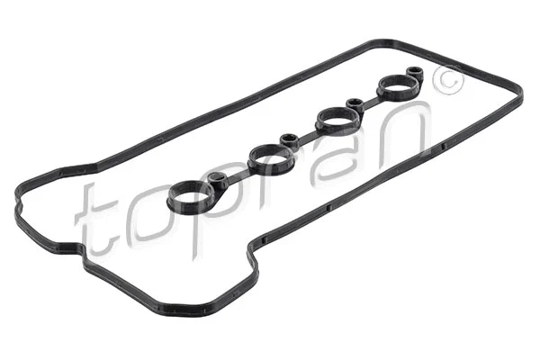 Gasket Set, cylinder head cover (820 590)