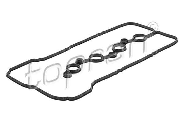 Gasket, cylinder head cover (822 025)