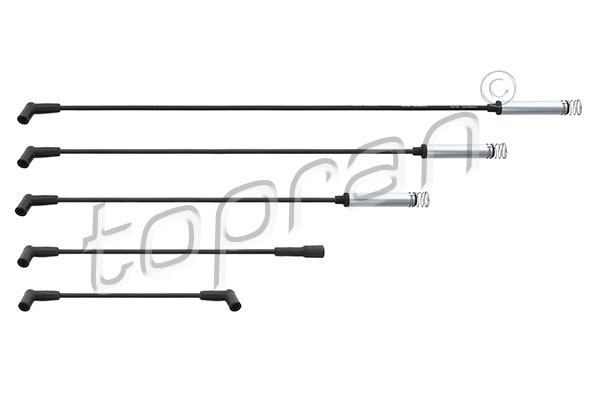 Ignition Cable Kit (202 522)