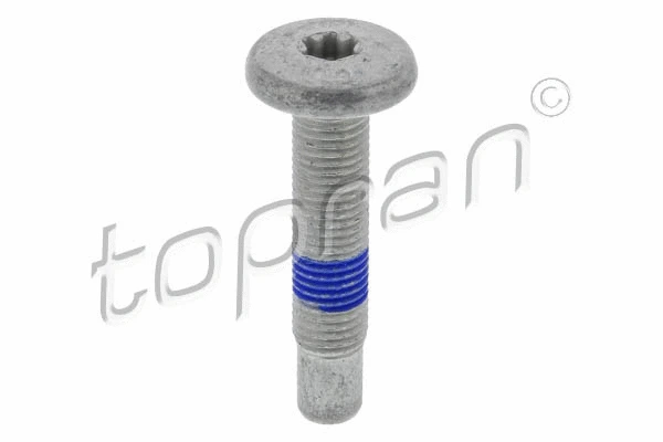 Screw (408 841)