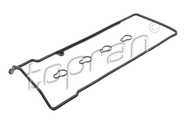 Gasket Set, cylinder head cover (401 456)
