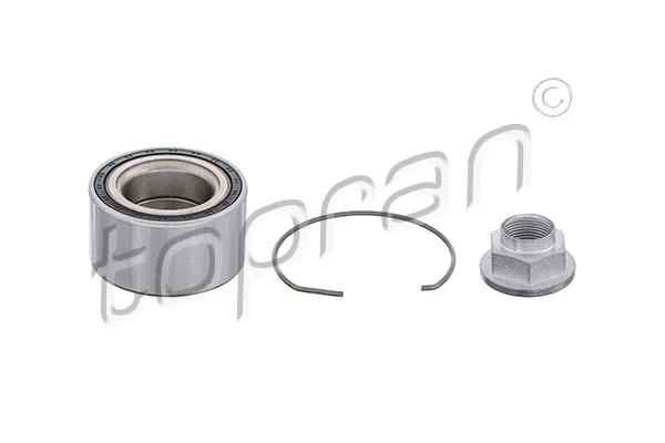 Wheel Bearing Kit (821 028)