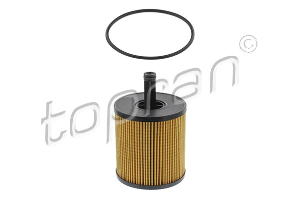 Oil Filter (113 545)