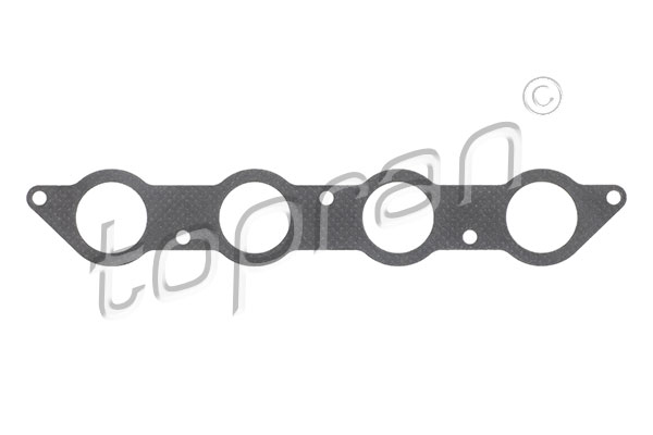 Gasket, intake manifold (100 264)