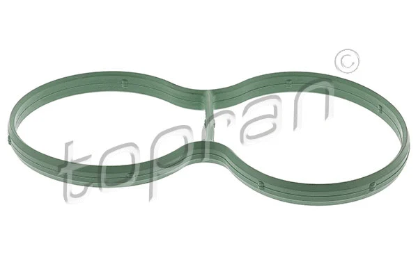 Gasket, intake manifold (113 199)