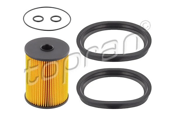 Fuel Filter (501 431)