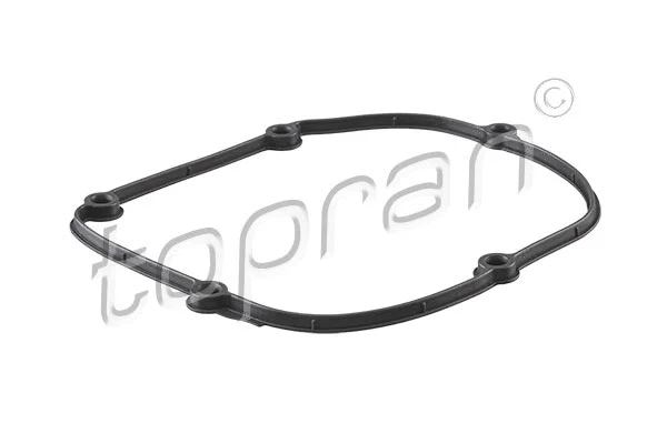 Gasket, timing case (115 440)