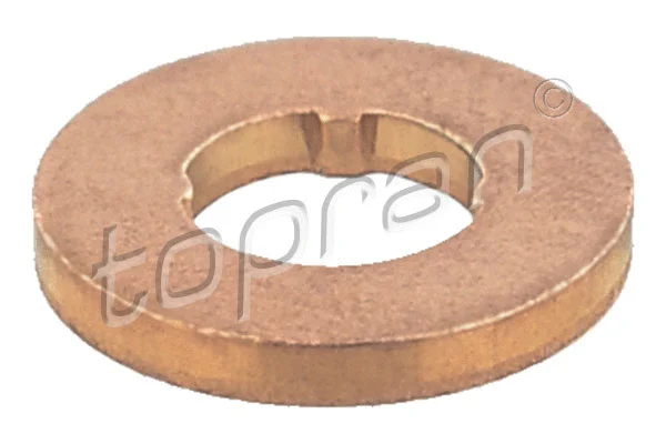 Heat Shield, injection system (115 878)