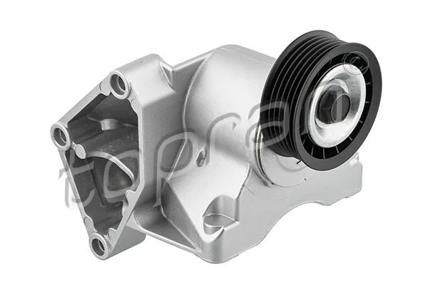 Belt Tensioner, V-ribbed belt (302 411)