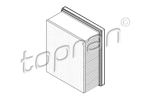 Air Filter (721 012)